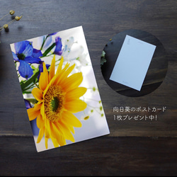 【原画】白の花束　18cm角　soサイズ　送料無料 7枚目の画像