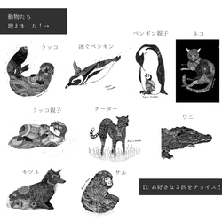 ＼動物増えました！／選べる動物ポスター３枚セット！ 7枚目の画像