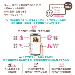 犬猫の真鍮迷子札 メッセージ刻印 迷子サポート付き Message Egg 9枚目の画像