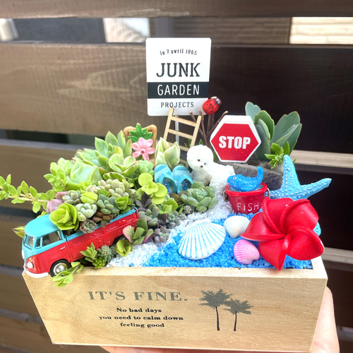 受注制作 海辺のわんちゃん箱庭風多肉植物寄せ植え 多肉植物 まぁ