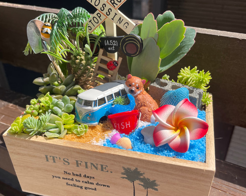受注制作 海辺のわんちゃん箱庭風多肉植物寄せ植え 多肉植物