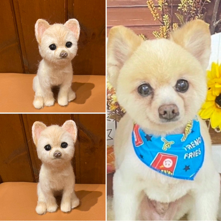 オーダー 羊毛フェルト 犬 (Mサイズ25cm) ポメラニアン ハンドメイド
