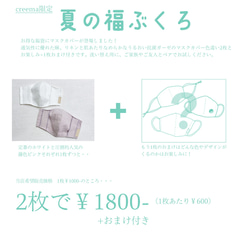 Creema夏の福袋2022⛵️ハーフリネンとダブルガーゼのマスクカバー2枚SET＋おまけの1枚！(PU200022) 2枚目の画像