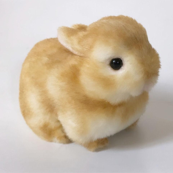 受注制作>うさぎのぬいぐるみ ネザーランドドワーフの赤ちゃん 受注制作>うさぎのぬいぐるみ ネザーランドドワーフの赤ちゃん