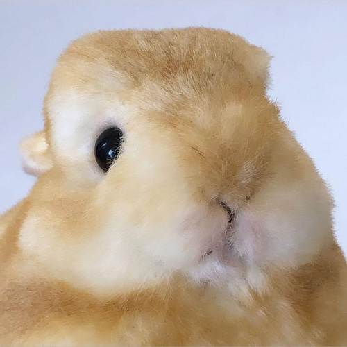 受注制作＞うさぎのぬいぐるみ ネザーランドドワーフの赤ちゃん