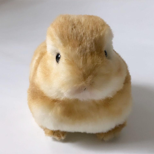 受注制作>うさぎのぬいぐるみ ネザーランドドワーフの赤ちゃん 受注制作>うさぎのぬいぐるみ ネザーランドドワーフの赤ちゃん
