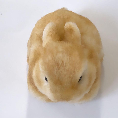 受注制作>うさぎのぬいぐるみ ネザーランドドワーフの赤ちゃん 受注制作>うさぎのぬいぐるみ ネザーランドドワーフの赤ちゃん
