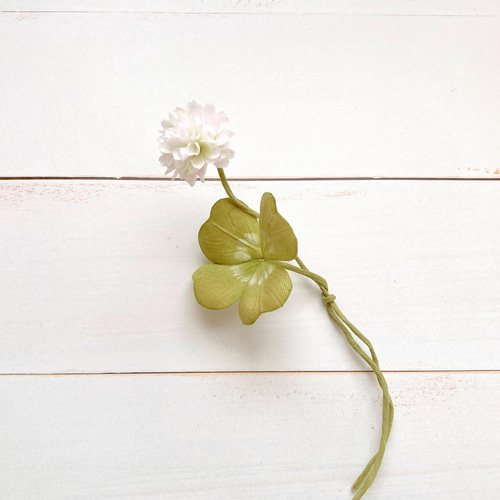 花「忘れないで・・・約束」シロツメクサ 花「忘れないで・・・約束」シロツメクサ