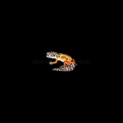 ヒョウモントカゲモドキ　レオパ　刺繍ワッペン　爬虫類　トカゲ 11枚目の画像