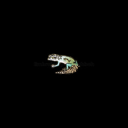ヒョウモントカゲモドキ　レオパ　刺繍ワッペン　爬虫類　トカゲ 12枚目の画像