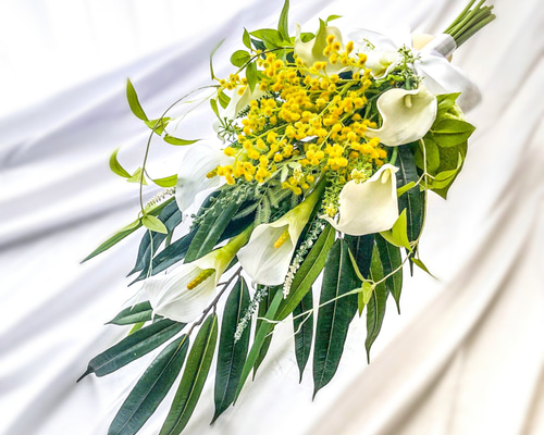 57a04c3a18c667836a06fb891240d0