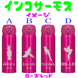 インコ の サーモス  名入れ 水筒 500ml  人気 ダークネイビー ローズレッド　送料無料 3枚目の画像