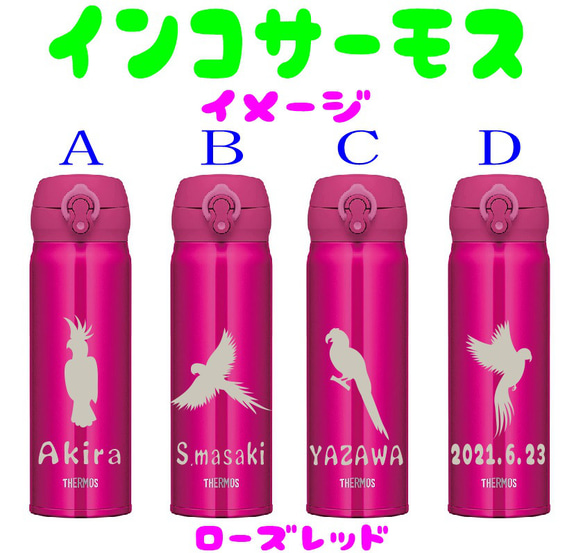 インコ の サーモス  名入れ 水筒 500ml  人気 ダークネイビー ローズレッド　送料無料 3枚目の画像