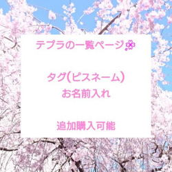 テプラの一覧ページ  タグ(ビスネーム)、お名前入れ オーダー 追加でご購入可 1枚目の画像