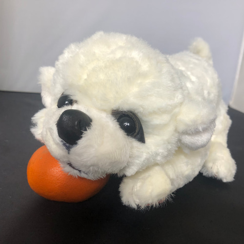 ペキニーズの仔犬 ぬいぐるみ ゴリ 通販 12065040|Creema(クリーマ) ペキニーズの仔犬 ぬいぐるみ ゴリ 通販 12065040|Creema(クリーマ)