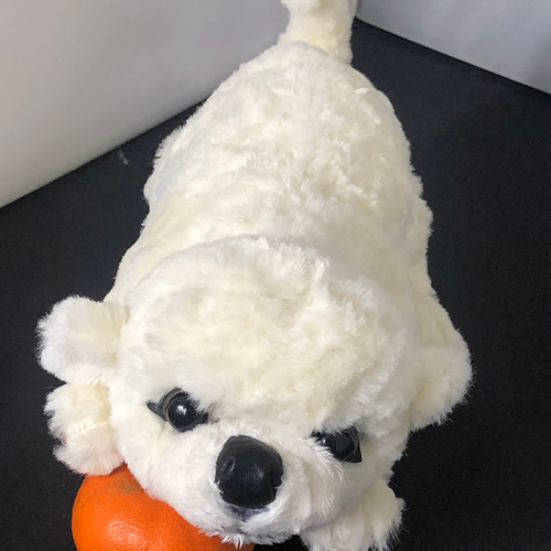 ペキニーズの仔犬 ぬいぐるみ ゴリ 通販 12065040|Creema(クリーマ) ペキニーズの仔犬 ぬいぐるみ ゴリ 通販 12065040|Creema(クリーマ)