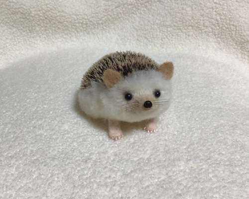 57baa375d23873055491275e1201d9