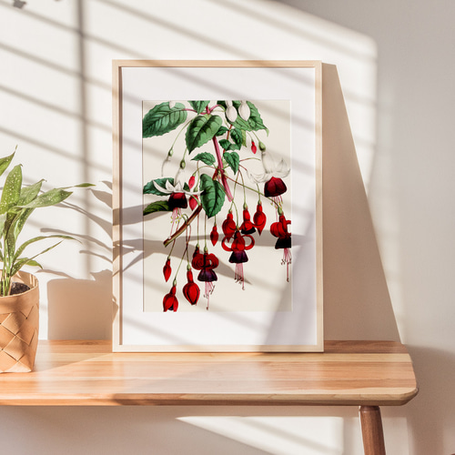 感謝の花(ポスター作品) 11月8日(金)12時よりWEBショップにて、村上隆新作ポスター3種を