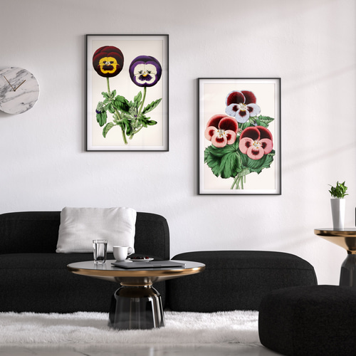 絵画 フランク・エル「パンジーのブーケ」額縁入/花の絵/インテリア/ヴィンテージ 絵画 フランク・エル「パンジーのブーケ」額縁入/花の絵