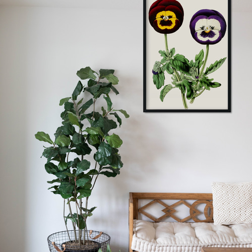 NO.165】パンジーの花フラワーアートポスター☆可愛いヴィンテージ