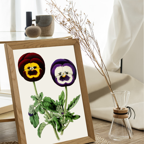 フラワー　絵画 Furber's Flowers Twelve Months of Flowers Print