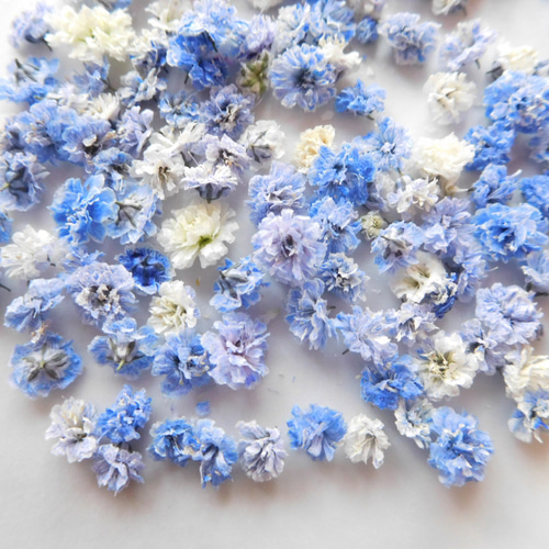 かすみ草　＊超大粒ラベンダーみるく＊　8mm以上　ドライフラワー ラベンダー＆白 かすみ草ドライフラワー その他素材 ababko 通販