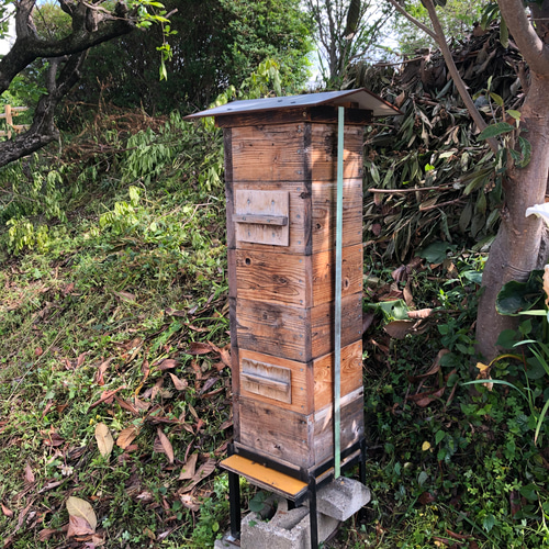 日本蜜蜂 重箱用巣箱台 29cm用 日本蜜蜂 重箱用巣箱台 29cm用 ハウス・小屋 まめしば 通販