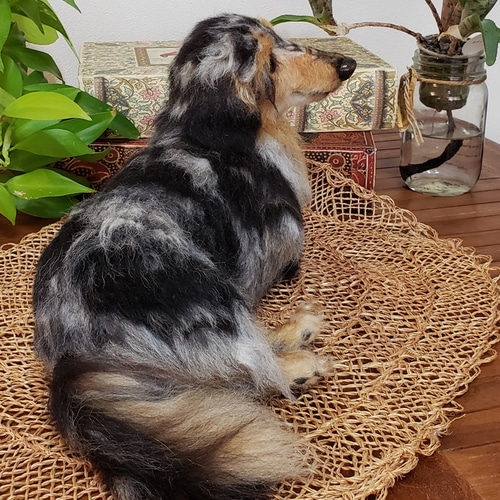 オーダーメイド オーダー羊毛フェルト犬 ミニチュアダックスフンド
