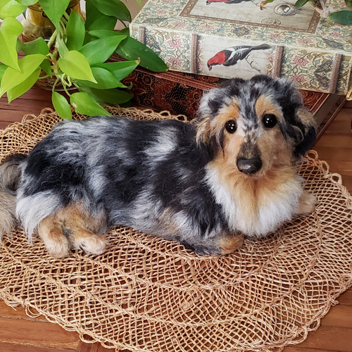 羊毛フェルト ワンコLOVE❤様 ダックスフンド 犬 ハンドメイド オーダー オーダーメイド オーダー羊毛フェルト犬 ミニチュアダックスフンド