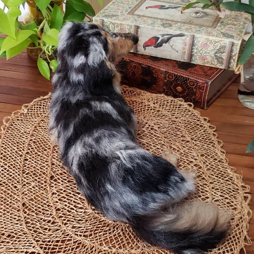 オーダーメイド オーダー羊毛フェルト犬 ミニチュアダックス