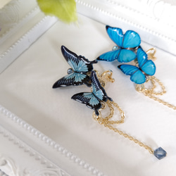 【蝶々イヤーカフ(クリップ式イヤリング)♪】モルフォ蝶(新色)、オオルリアゲハ、青い蝶。蝶々イヤリング。左耳用。 4枚目の画像