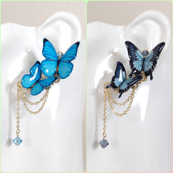 【蝶々イヤーカフ(クリップ式イヤリング)♪】モルフォ蝶(新色)、オオルリアゲハ、青い蝶。蝶々イヤリング。左耳用。 1枚目の画像
