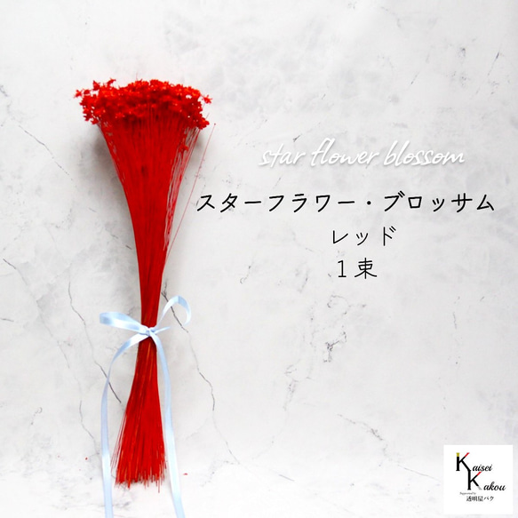 大地農園 「スターフラワー ブロッサム レッド 1束」 小花 ドライ