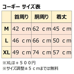  第16張的照片