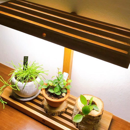 植物育成LEDライトスタンド（LED4灯ナラ） 一輪挿し・花瓶・花器 8929