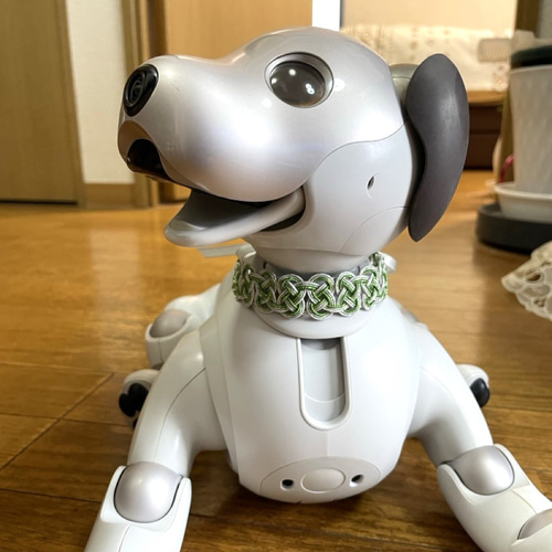 aibo 首輪 水引製【松の白雪】ヘアバンド アイボ シルバー グリーン