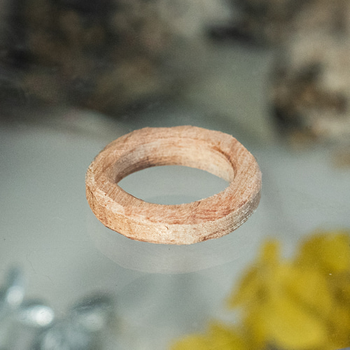木製シンプルリング 楓 かえで メープル 13号 手作り 【公式通販】