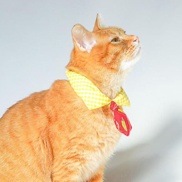 黄色のギンガムチェックに唐辛子の模様で和風コーデ　ネクタイ型つけ襟 3枚目の画像