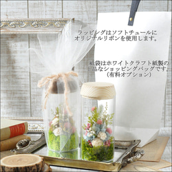 ✽母の日におすすめ【 bright green Ssize】優しくお花を照らす✽lamp flower 8枚目の画像