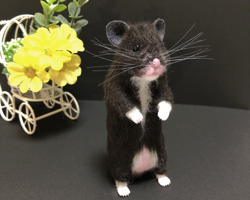 珍柄！未使用品 名古屋帯 ハムスター 可愛い ウール 黒 3m77cm お洒落 楽天市場】名古屋帯 正絹 龍美工房 仕立て付き 猫柄 葵 更紗 白 帯