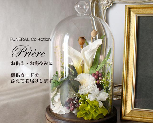 218b00069523224fe22aaf649bde09