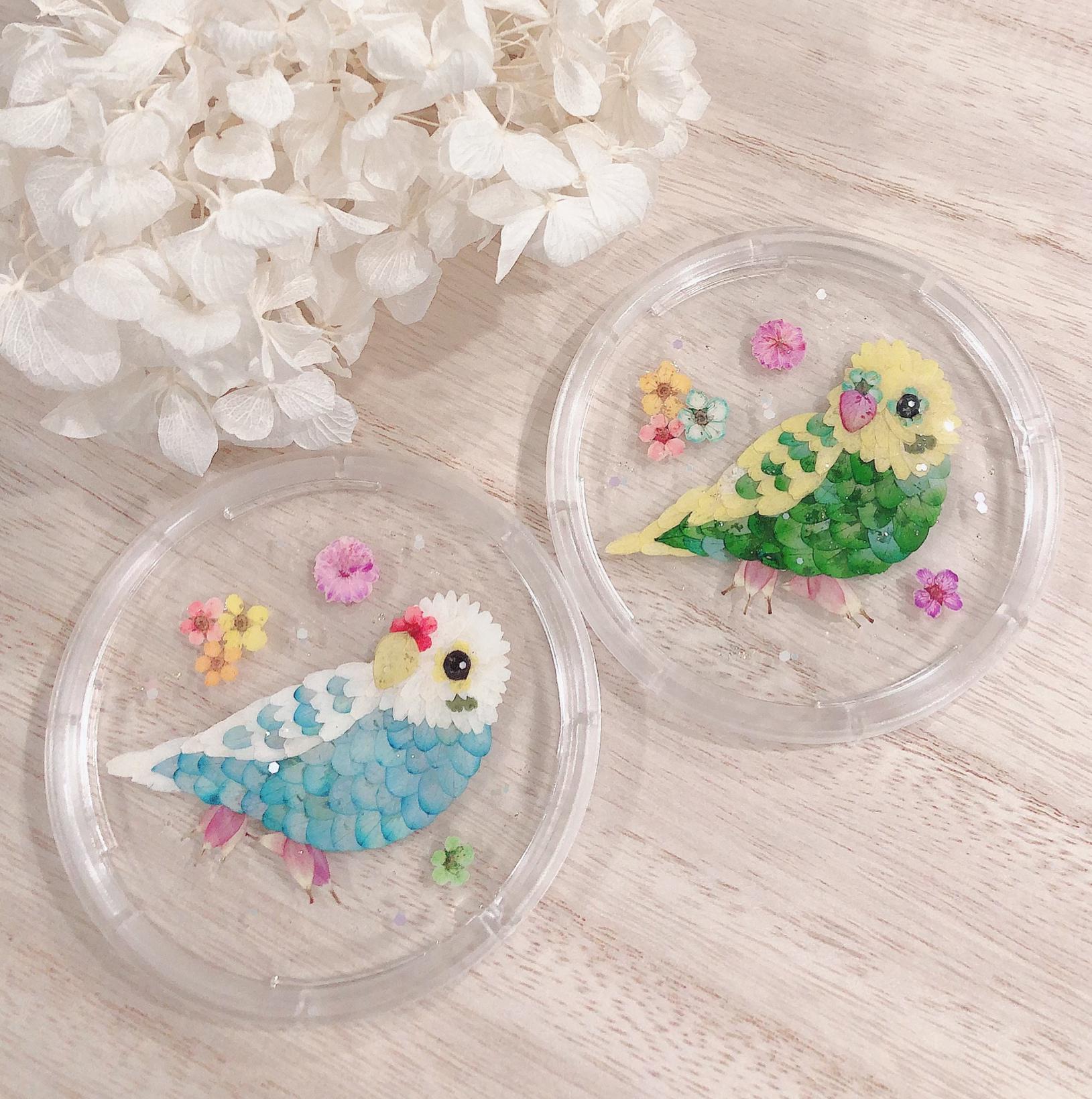 コースター 3枚セット インコ スイーツ チェック 【公式通販】