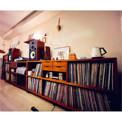 VINTAGE RECORD CHEST レコード大量収納　サイズ変更可能　本棚　レコード収納 13枚目の画像