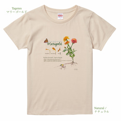 ヨーロッパのオーガニック菜園Tシャツ。/ ナチュラル 1枚目の画像