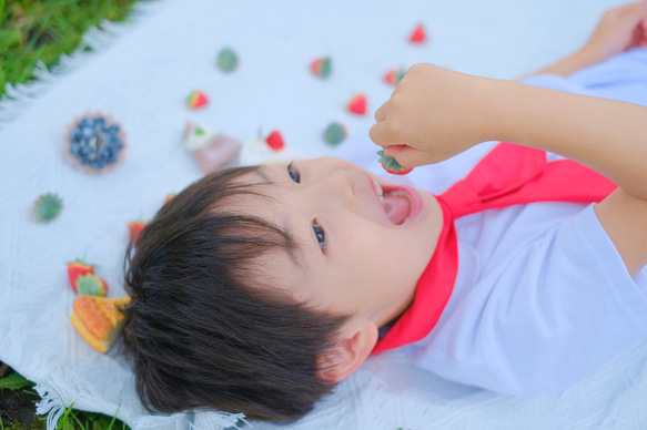 《特集掲載》おもちゃのケーキ屋さんごっこ おままごと　 19枚目の画像