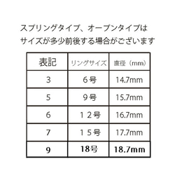 silver925 スプリングリング 5枚目の画像