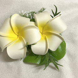 再販 ハワイアン髪飾りフラダンス 花飾り プルメリア(シンプル