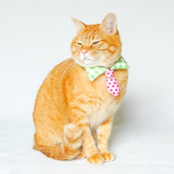 緑にピンクのハートタイ　ネクタイ型つけ襟 4枚目の画像