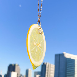【新春福袋】本物みたいなレモンのピアス＆ネックレス【2022年ラッキーカラー】 5枚目の画像
