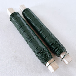 モリソニア ＊パープル/グリーン 大地農園 送料無料＆4点毎に1点おまけ